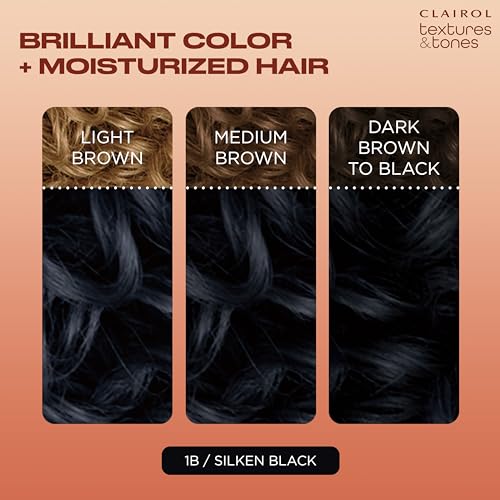 CLAIROL TEXTURES &TONES [#1B SILKEN BLACK]